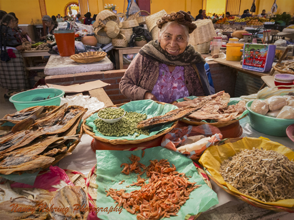Senior Zapotec woman with traditional braids in her hair selling dried seafood and peas at the Mercado Municipal in Teotitlan del Valle, Oaxaca, Mexico.